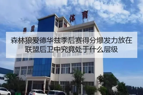 森林狼爱德华兹季后赛得分爆发力放在联盟后卫中究竟处于什么层级