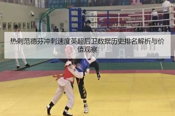 热刺范德芬冲刺速度英超后卫数据历史排名解析与价值观察 | kaiyun