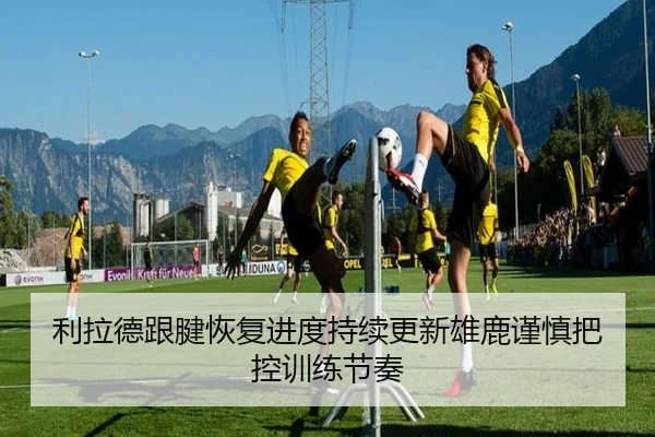 利拉德跟腱恢复进度持续更新雄鹿谨慎把控训练节奏 - kaiyun